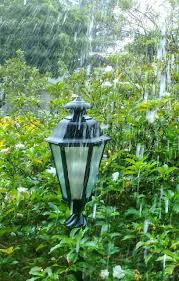 Chuva De Verao Smell Of Rain Summer Thunderstorm Find Picture