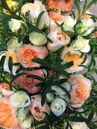 Discover wide range of best sellers flowers in our salinas flower shop. Matranga Wholesale Florists 607 Brunken Ave Ste 3 Salinas Ca Florists Supplies Manufacturers Mapquest