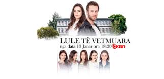 Lule Te Vetmuara Nis Sot Seriali I Ri Turk Tv Klan