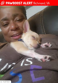 Our 2 boys are still missing! Stolen in Portsmouth VA. Said to be sold  somewhere in NC. Please be