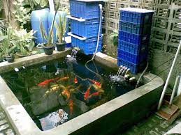Urutan isi filter kolam koi air jernih setiap hari murah meriah dan sederhana teman teman, saya sharing sedikit ya, murah. Cara Membuat Filter Kolam Ikan Murah Dan Sederhana Abahtani
