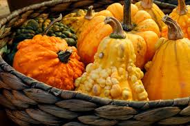 Resultado de imagen de calabaza