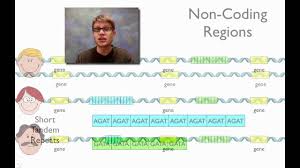 Molecular Markers In Dna Fingerprinting In 2020 Dna Fingerprinting Help Teaching Molecular