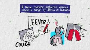 Influenza a viruses (iavs) possess a great zoonotic potential as they are able to infect different avian and mammalian animal hosts, from which they can be transmitted to humans. Zoonotic Influenza