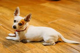 Carol Suarez (@carol.suarez_) • Instagram photos and videos