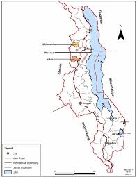 Image result for Eminia antennulifera