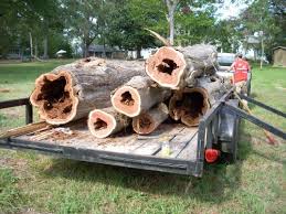 Cedar Log Prices In Forestry And Logging