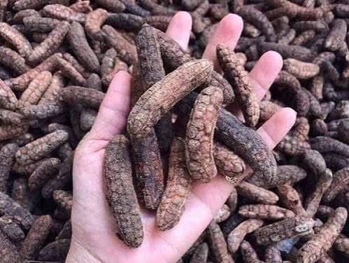 Tác dụng của chuối hột rừng | Vinmec