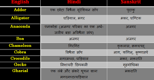 We did not find results for: Reptiles Name In English Hindi And Sanskrit List And Table