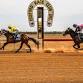 Isisford Ross Cup Races event image