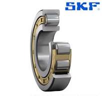 RN309M SKF