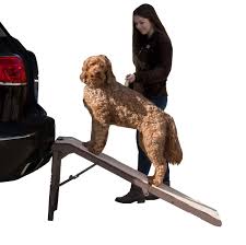 Bissell Spotclean Proheat Pet Portable Carpet Cleaner 2513w Pet Gear Free Standing Ramp For Cats And Dogs Great For Suv S Or Use Next To Your Bed 4 Models To Choose From Supports 2 Dog Ramp For Car Pet Ramp