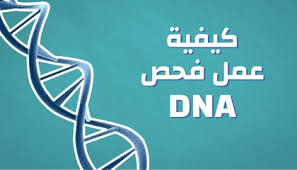 كيفية عمل فحص Dna موضوع