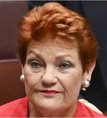 Comparison of Golden Lion Tamarin to Politician