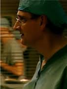 蝴蝶- 抖音百科