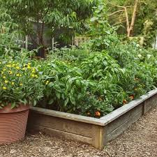 After enduring snowstorms and cold. Vegetable Garden Ideas Design Garden Design