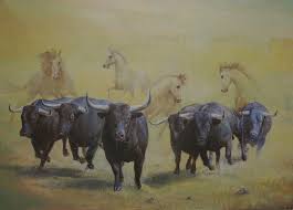 Ver más ideas sobre estampida, ganado vacuno, ganado bovino. Estampida De Setecientas Vacas Remigio Sol