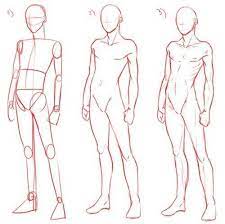Collection by hunter porter • last updated 6 weeks ago. Male Anatomy Drawing Reference Anatomy Drawing Diagram