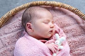 Clarice Oliveira Photography