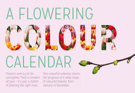 The garden says that last friday some visitors spotted these insects. This Infographic Color Calendar Helps You Plant Flowers For Every Season