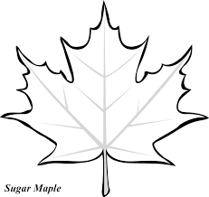 See more ideas about leaf coloring page, coloring pages, leaf coloring. 6 Best Leaf Tracers Printable Printablee Com