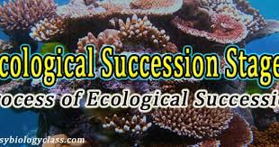 Process Of Ecological Succession Ppt Ecological Succession Ecology Process