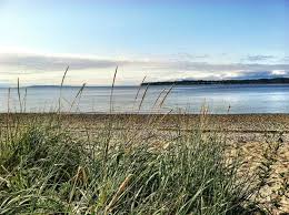 The park has 8,255 feet of sa. Birch Bay State Park 2021 All You Need To Know Before You Go Tours Tickets With Photos Tripadvisor
