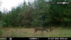 We did not find results for: Cell Link