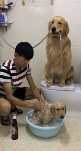 Visit For More Camping Theme Door Decorations Dr Oz 49 Ideas For 2019 Door Camping The Post Camping Them Cute Baby Animals Cute Funny Animals Cute Animals