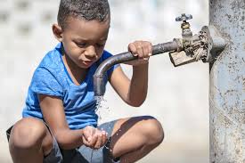 Image result for Lead Poisoning