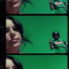 Should household animals be added to House Flipper?