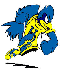 Do not create your own logos. Delaware Rugby