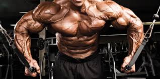 Check spelling or type a new query. Cable Crossover Exercise Bodybuilding Wizard