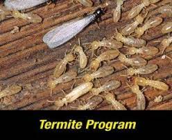 We're local exterminators near you for bugs like ants, mosquitoes, mice, fleas, roaches, and flying pests. 1 Pest Control Elgin Sc Expert Exterminator In Elgin Sc