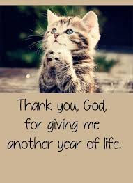 Birthday Quotes For Yourself Funny Birthday Quotes For Self Birthday Quotes For Me Funny Happy Birthday Pictures Names Of Jesus