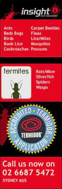 How to choose the correct pest control service. Insight Pest Management Pest Control Lennox Head