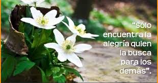 Eduardo Infante @InvenioCoaching: La flor de la alegría