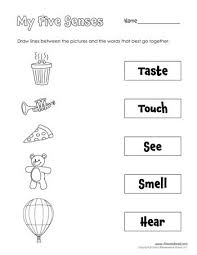 A Printable Five Senses Matching Worksheet For Preschool Students And Teachers Five Senses Worksheet 5 Senses Worksheet Senses Activities