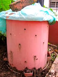 Compost bins are located next to allotment/flower/herb patches. Compost Today The Miljo Project