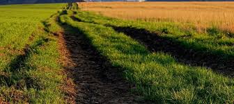 Prix D Un Terrain Non Constructible