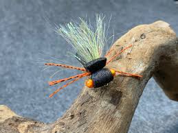 Fly fishing with spinning gear may sound a bit funky at first, but it's one deadly trout technique! Fly Tying Friday The Brood X Cicada Panfish On The Fly