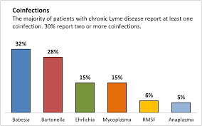 lyme disease co infections lymedisease org