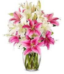 Stunning Pink And White Mother S Day Lilies At From You Flowers