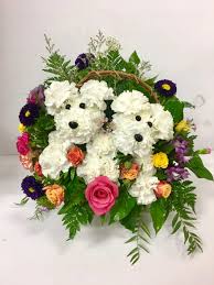 $50 for $100 toward prescription eyeglasses or sunglasses from bestbuyeyeglasses.com. Puppy Bloom By Fresh Flowers Florist