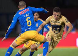 Tigres uanl tigres uanl uanl. Tigres Vs Pumas 5 0 Resumen Y Goles Del Partido As Mexico