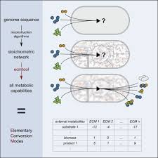 Unlocker can unlock files, folders, dll, and can also delete index.dat without. Unlocking Elementary Conversion Modes Ecmtool Unveils All Capabilities Of Metabolic Networks Sciencedirect
