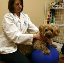 Wellness, vaccinations, surgery, dentistry, boarding Westgate Pet Clinic 15 Photos 28 Reviews Veterinarians 4345 France Ave S Minneapolis Mn United States Phone Number