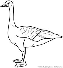Goose Coloring Pages Goose 1 Free Printable Coloring Pages For Kids Coloring Pictures Bird Coloring Pages Coloring Pages Free Printable Coloring Sheets