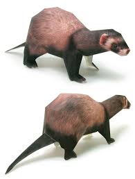Ferret1 Jpg 750 990 Dinosaur Stuffed Animal Animals Ferret