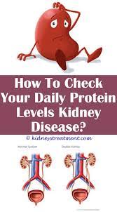 Pin On Chroic Kidney Disease